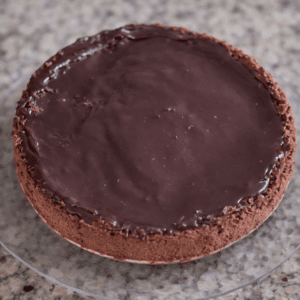 Chocolate cake with smooth, glossy topping.